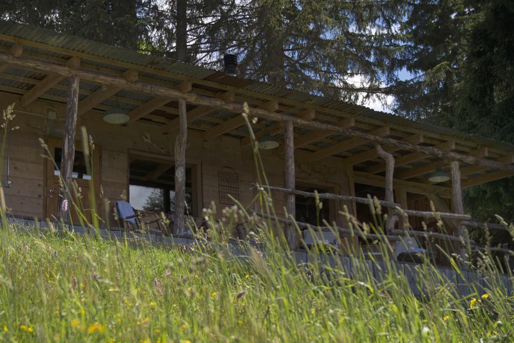 צווייזימן Rinderberg Swiss Alpine Lodge מראה חיצוני תמונה